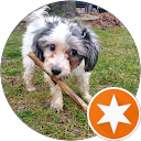 Charles Wallace profile picture